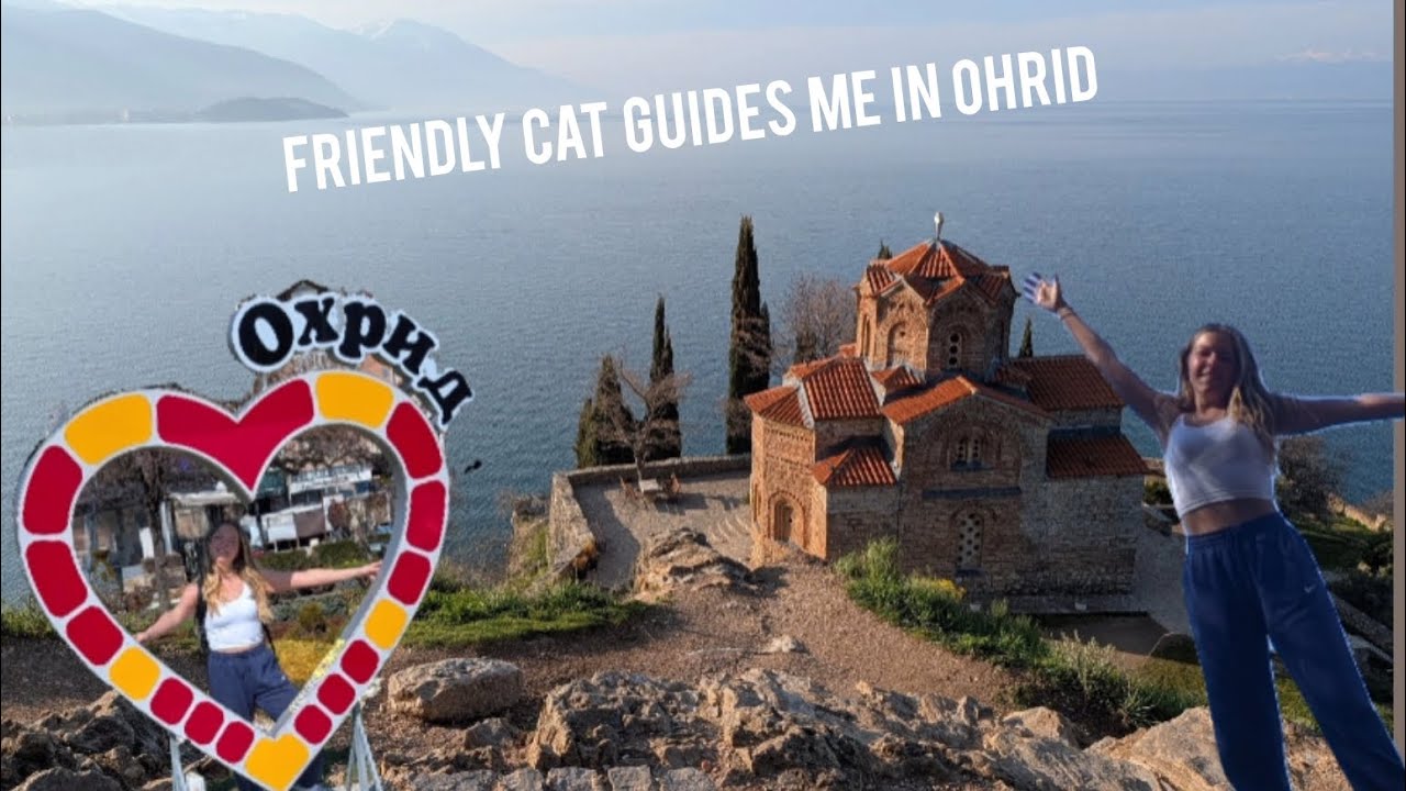 Friendly cat guides me in Ohrid, North Macedonia - solo female travel