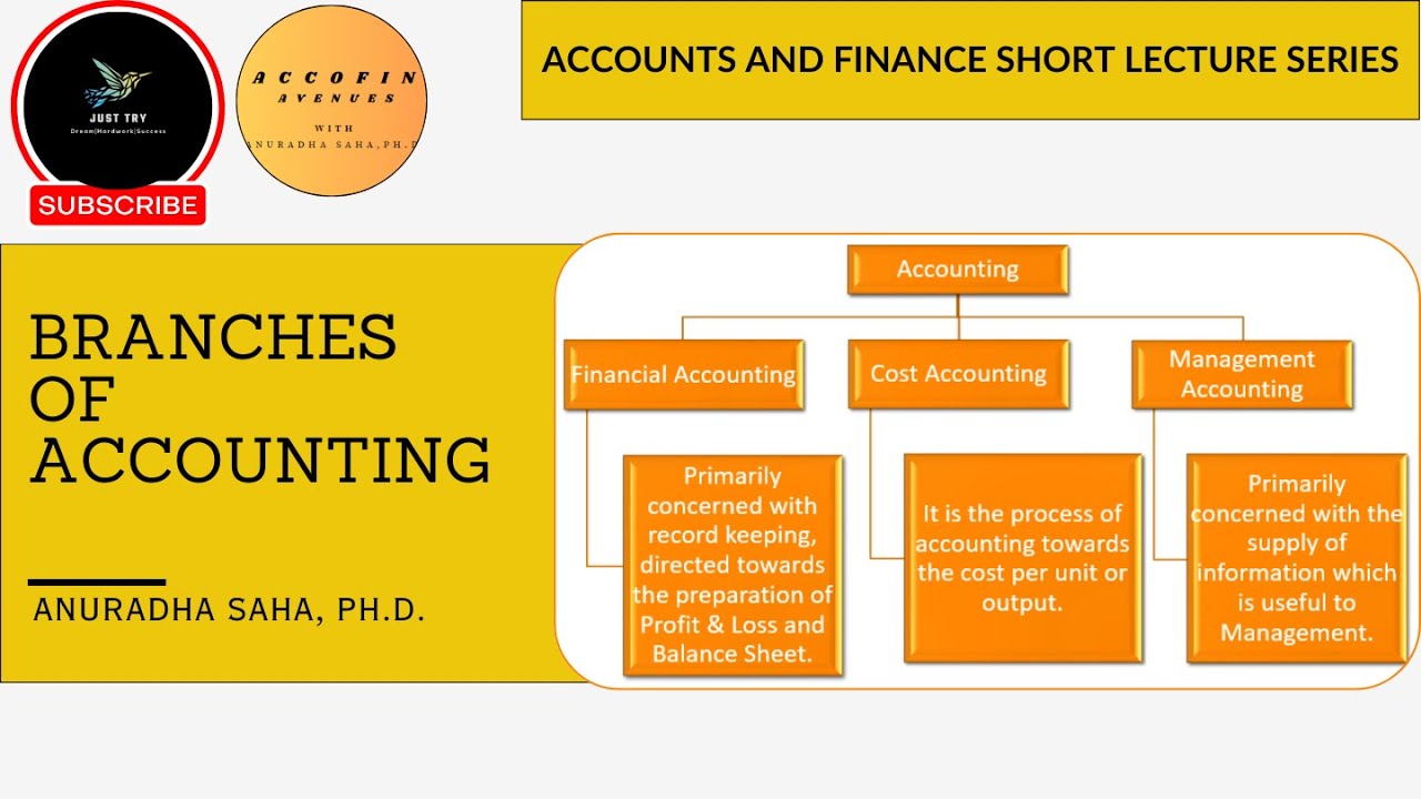 Branches of Accounting | Types of Accounting #accountancy #finance #class11accountsinenglish