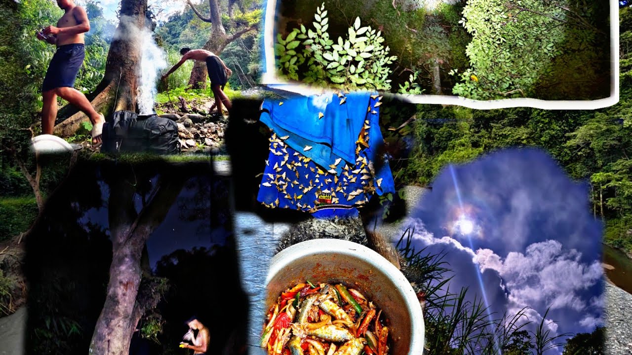 Night camping in zungki river (part 1) ⛺⛺