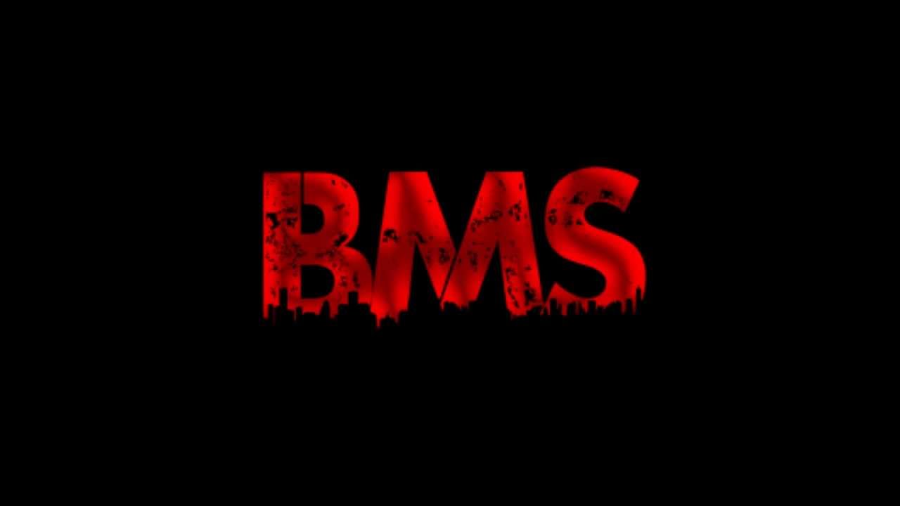 Potera, Sitek TWL   Moja okolica 2005 rok BMS