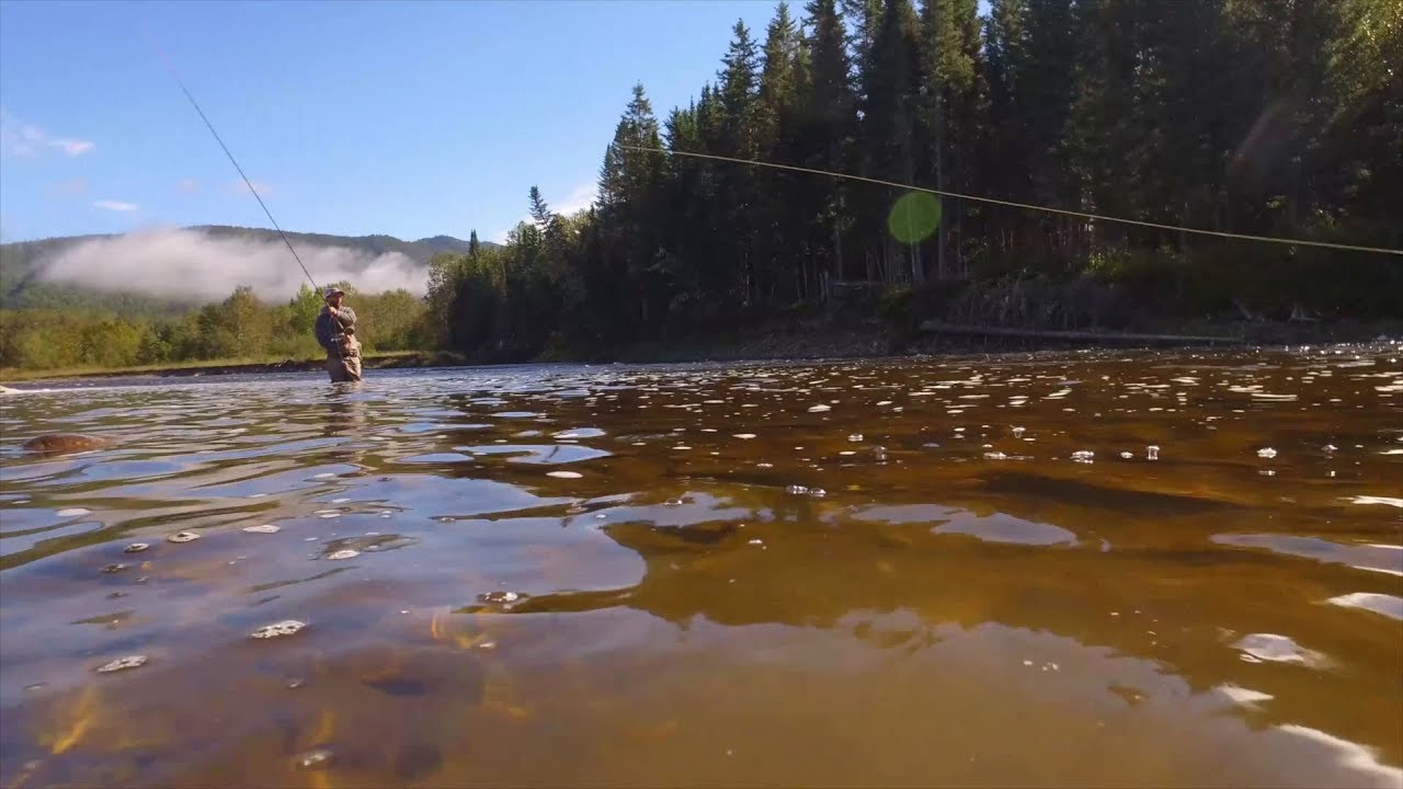 La rivière Saint-Anne - Parc national de la Gaspésie - Sépaq