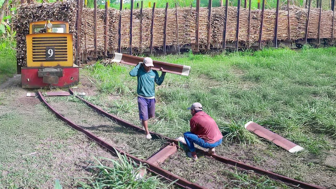 Extreme Way They Build Sugarcane Train Tracks by Hand in Real Time