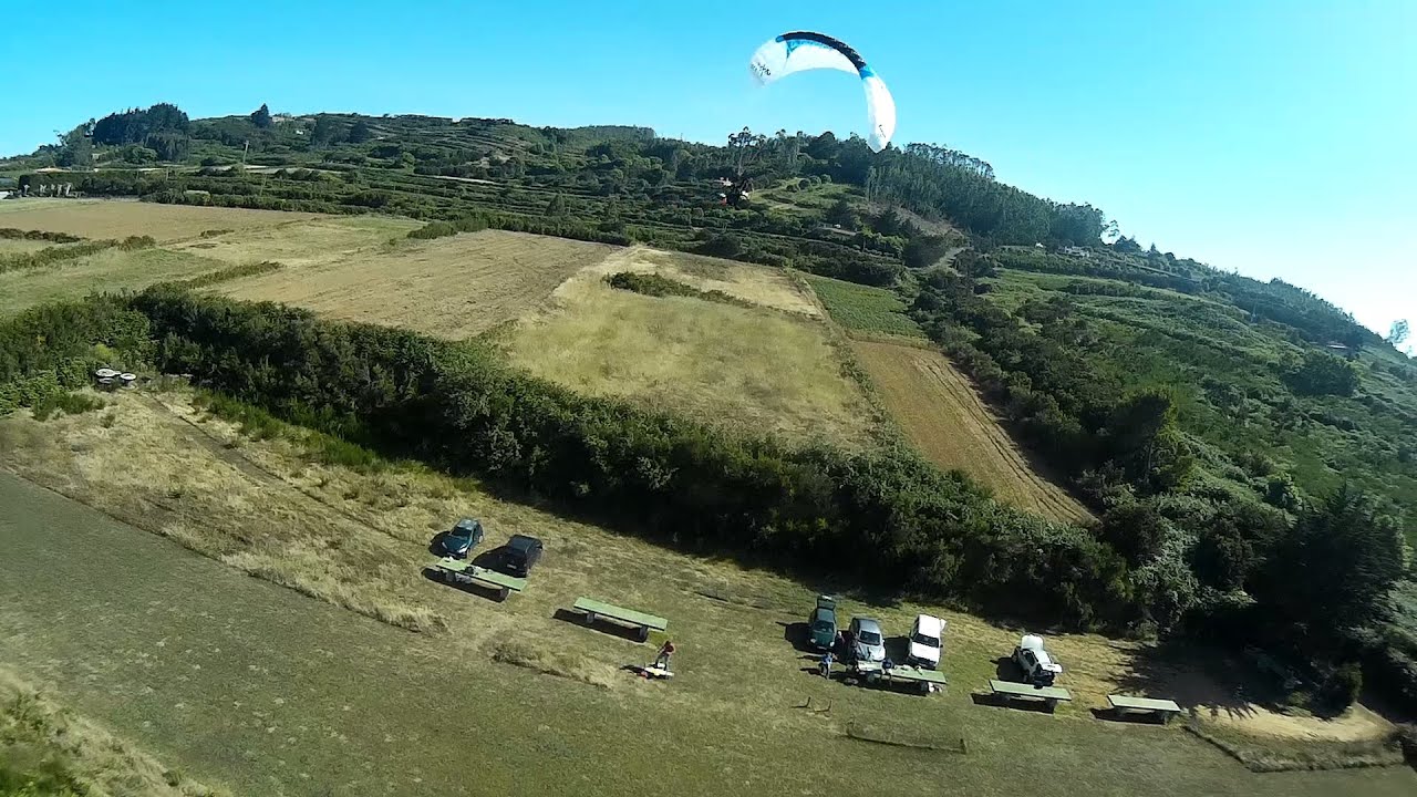 ZMR250 and Oxy Opale paramodels