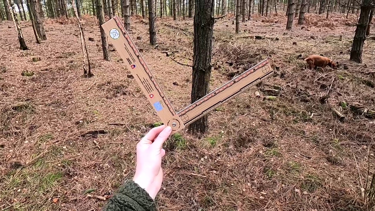 Wildlife Tracking - the basics 🐾