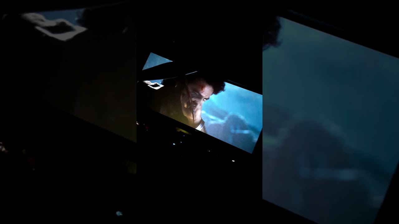 #devara glimpse theater reaction at #saripodhaasanivaaram interval #ntr #manofmassesntr