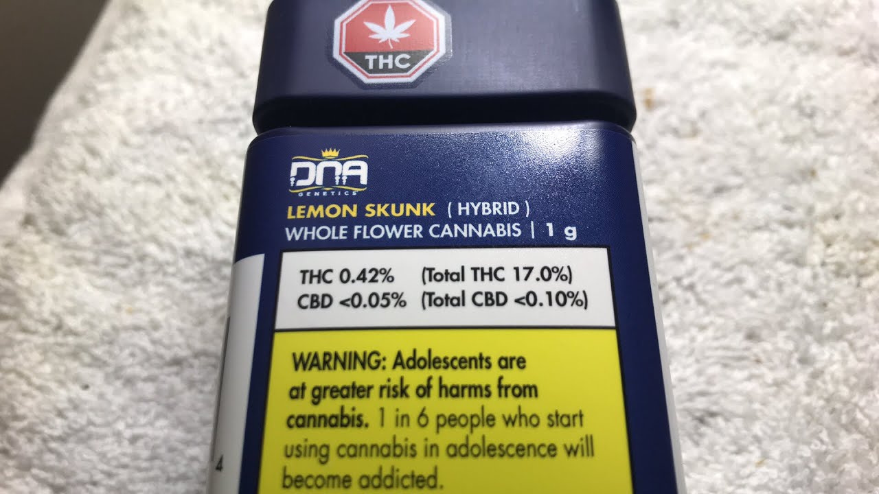 LEMON 🍋 SKUNK 🦨 (HYBRID) 17% THC ~ 0.10% CBD 😋