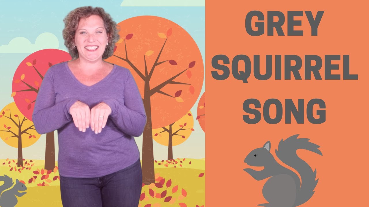 Fall Songs for Preschoolers | Grey Squirrel | Movement Song for Preschool Kids and Toddlers