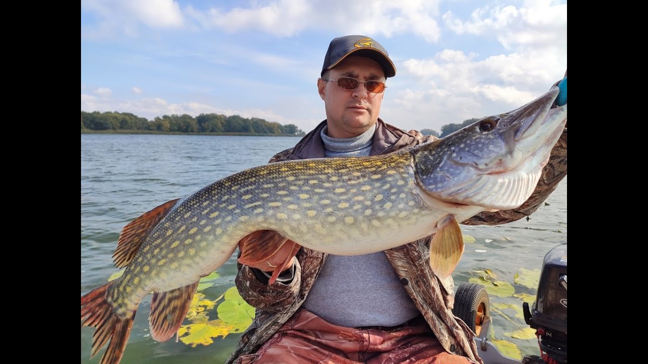 ОГРОМНЫЕ ЩУКИ одна за одной. Рыбалка на Крупный Силикон. Троллинг.