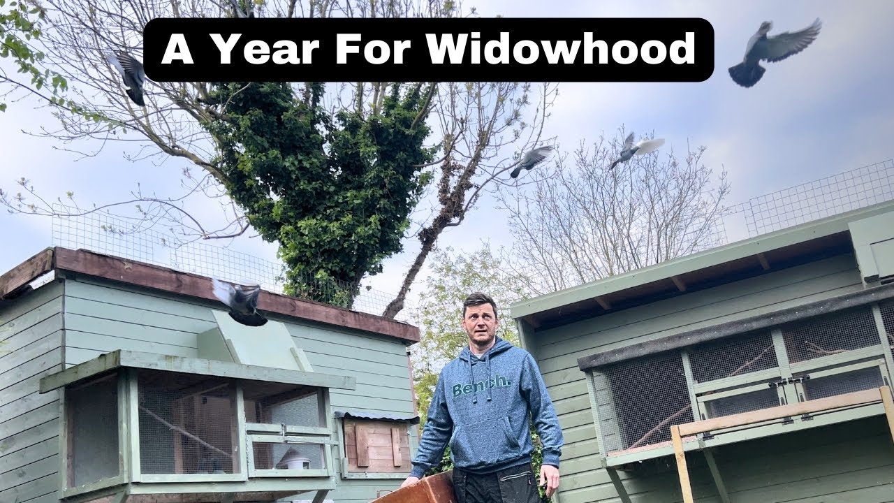 (Ep.83) Year of the Boys: Trying to Compete on Widowhood