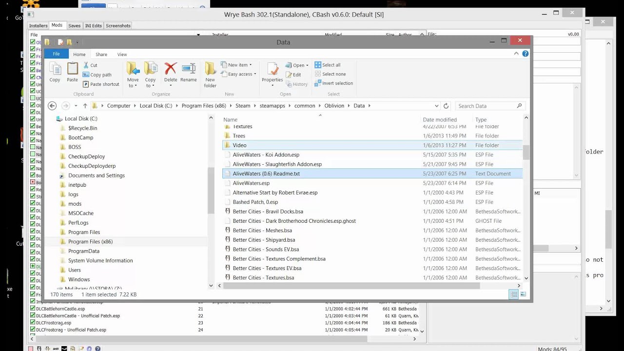 Installing, activating, sorting and bashed patch 6:45:15 AM