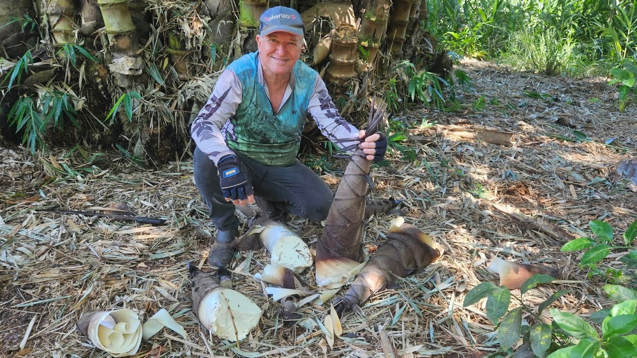 RECEITA DE PALMITO DO BROTO DO BAMBU