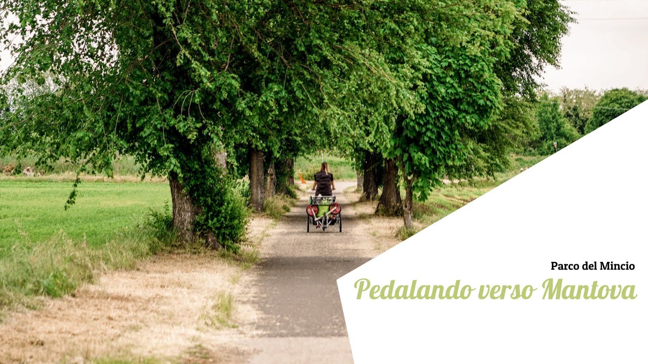 Sostiamo in camper all'agriturismo Beatilla e pedaliamo lungo la ciclabile del Mincio fino a Mantova