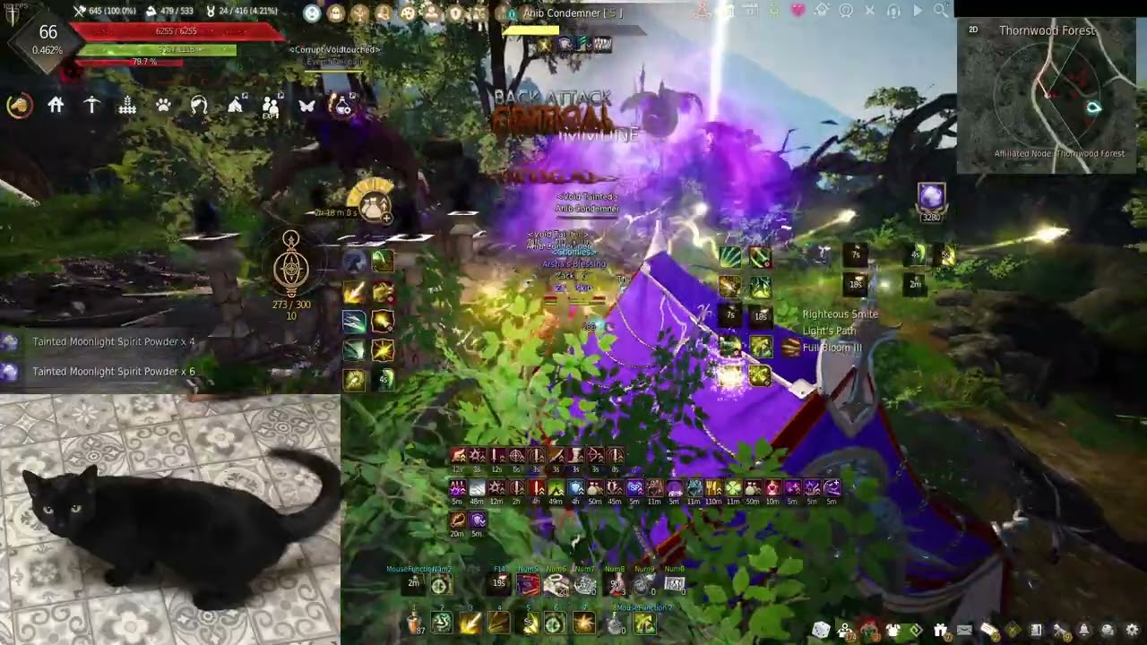archer 22k dehkia thornwood after buffs