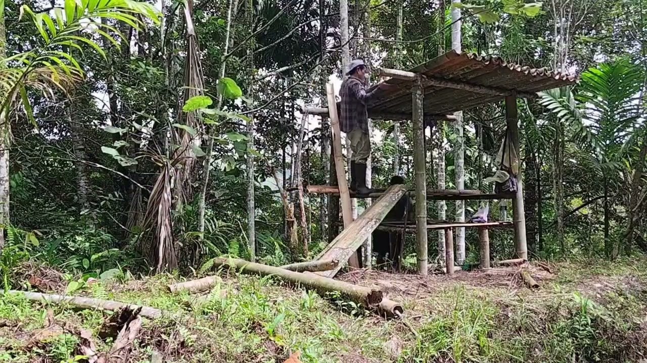 Part2 pondok durian di kampung 😆@putinbeii2 #kampung #durian #sabah #malaysia 