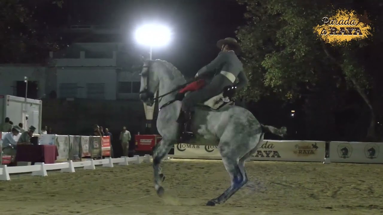Raúl Castell Escachx con Morante
