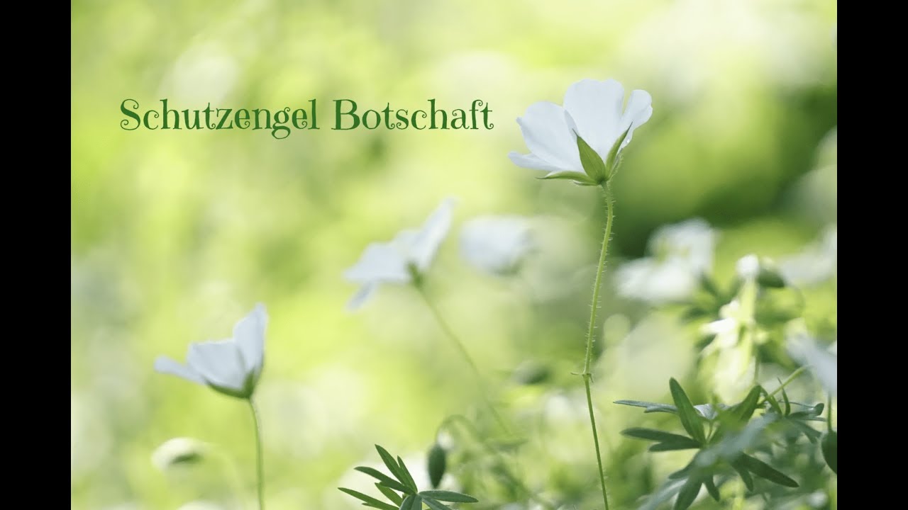 Schutzengel Botschaft f&uuml;r dich ❤️