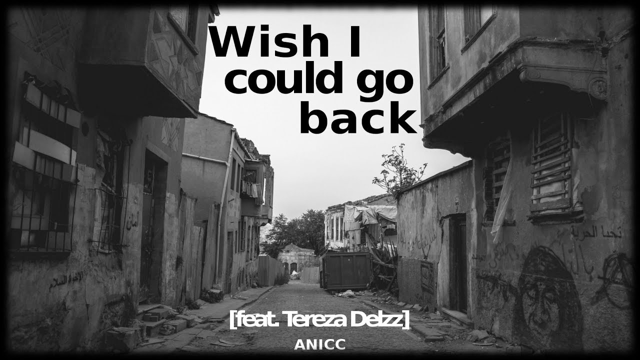 ANICC - Wish I could go back [feat. Tereza Delzz]