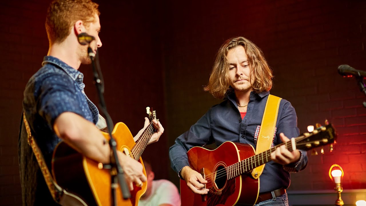 Dee White | Rose of Alabam