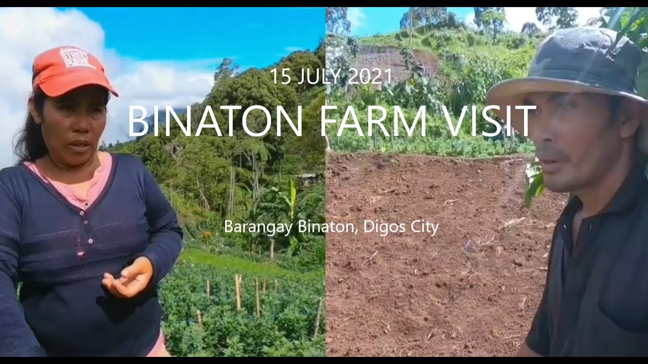 BINATON FARM VISIT