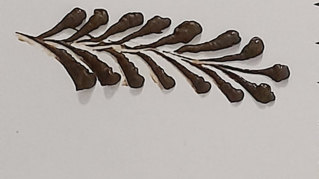 Leaf 🍃Chain Mehndi Design 