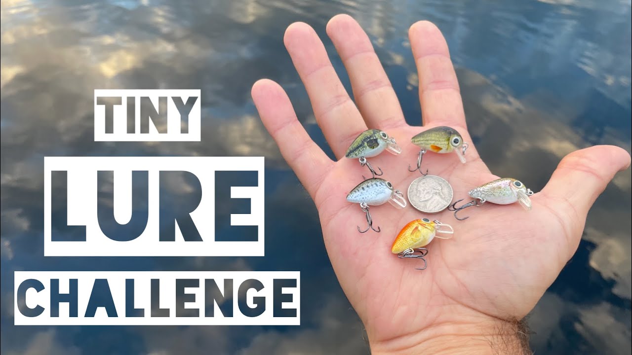 tiny LURE FISHING CHALLENGE | micro CRANKBAITS | Northern Wisconsin