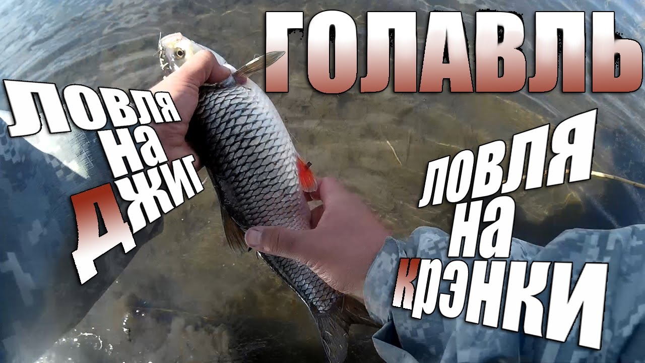 Голавлёвый джиг и крэнки. Весенний голавль.