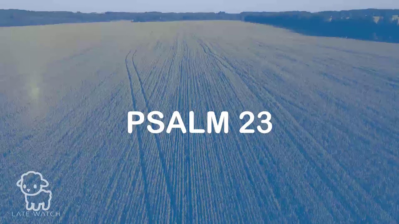 Spoken Scripture Live | Psalm 32, John 1, Psalm 25 and John 14 | Late Watch