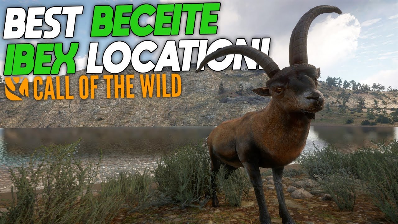 Best Beceite Ibex Location! | theHunter: Call Of The Wild