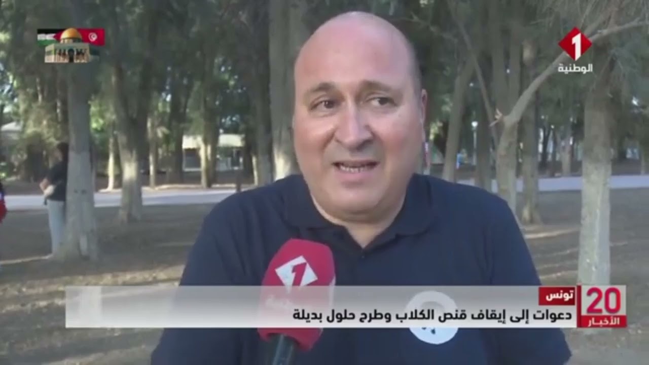 النشرة الرئيسية للأخبار ليوم 21 - 07 - 2024