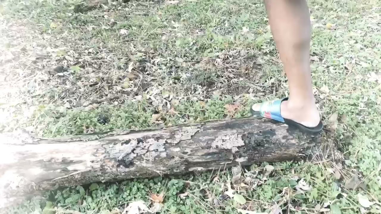 Tanka Giggabootè Happy Halloween