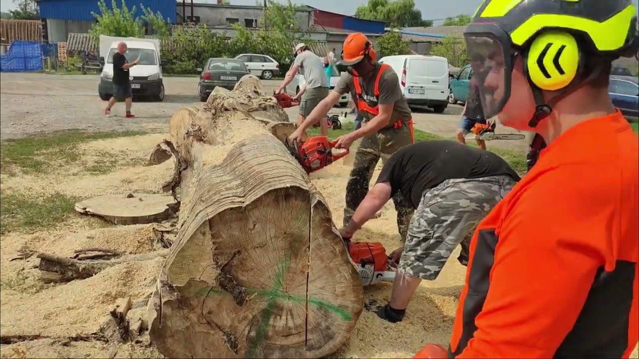 VII.füzesabonyi amatőr láncfűrészes találkozó 2023.08.19.