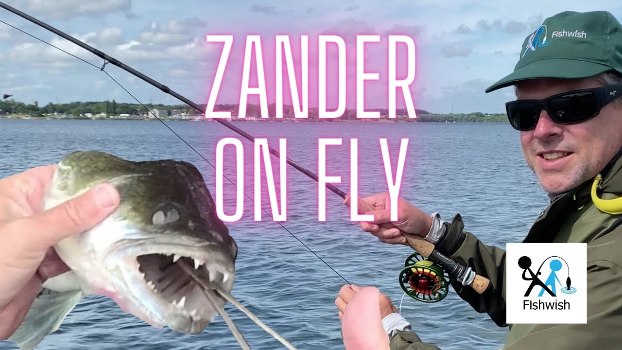 Fly Fishing for Zander