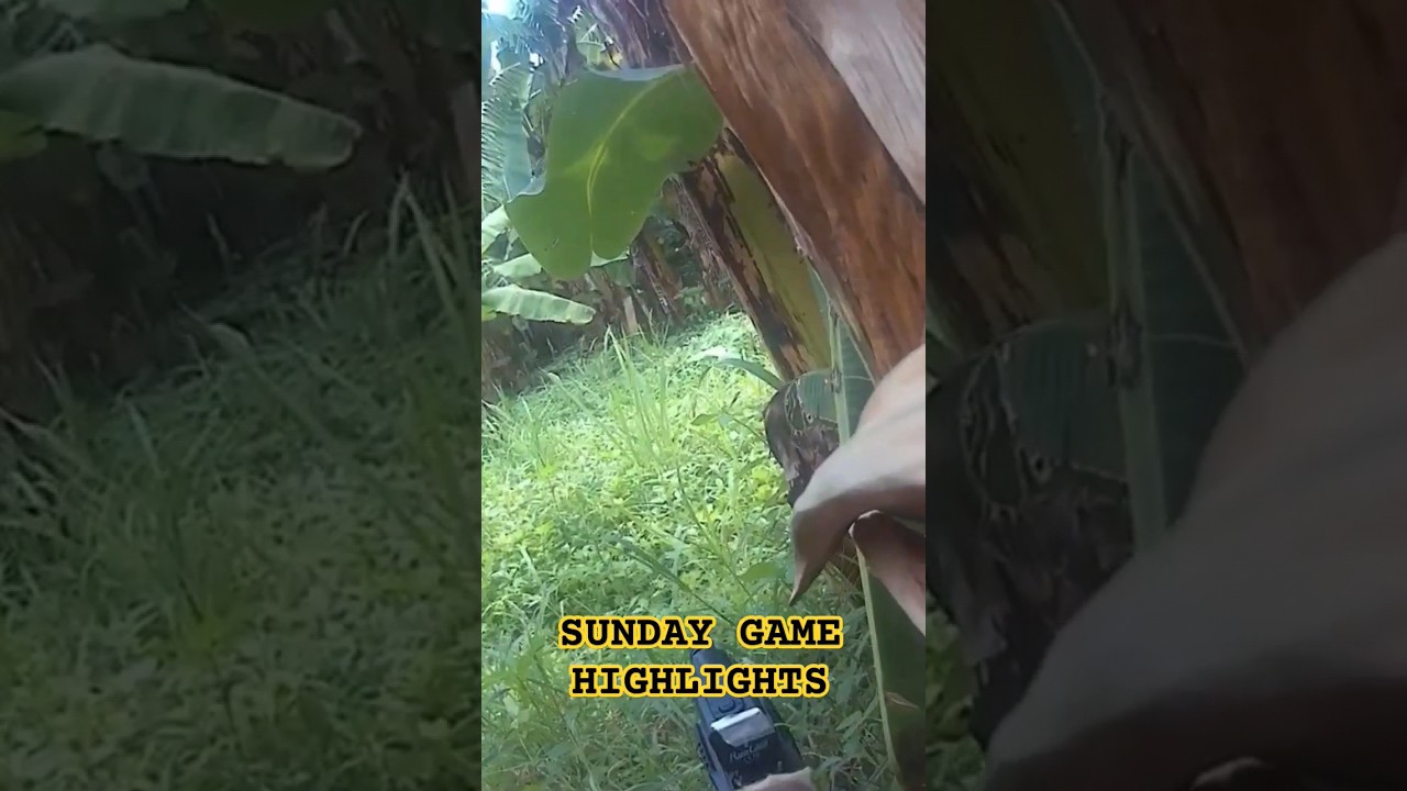 Airsoft Jungle mode! #airsoftgame #viral #airsoftinternational #shortsfeed #shorts #airsoftonly