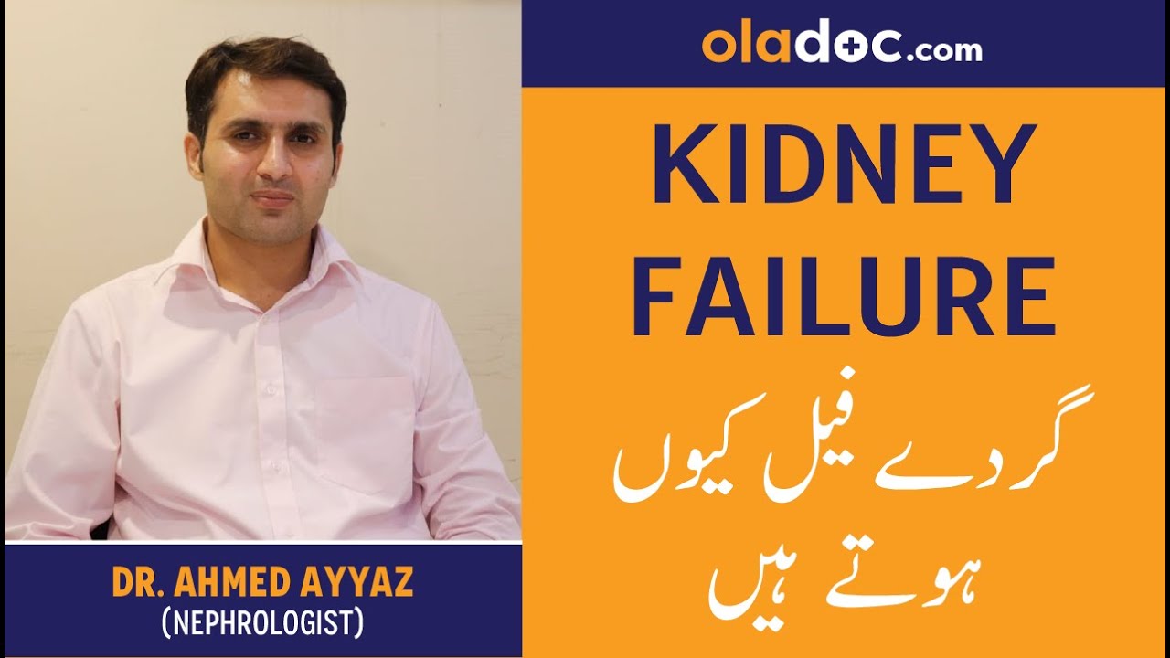 Kidney Failure Treatment Symptoms - Gurde Fail Hone Ka Ilaj Alamaat Urdu Hindi - Kidney Pain Elaj