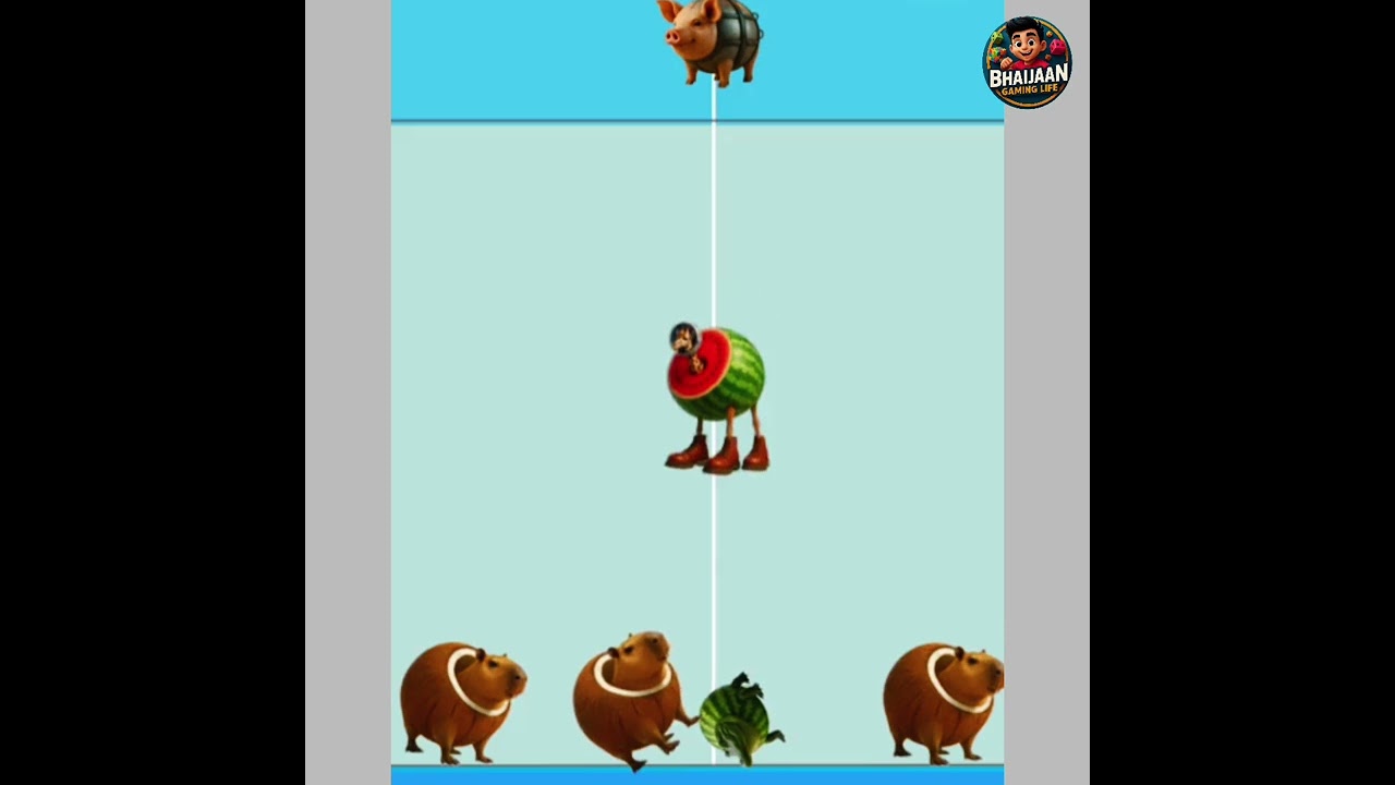 Funny Animal Run Game 🐗🍉 | Crazy Animal Race _ Shape shift 