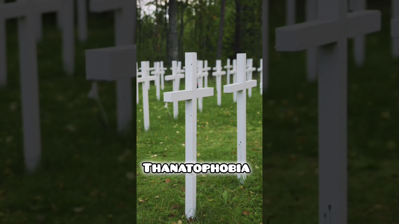 Thanatophobia - Fear of dy.....