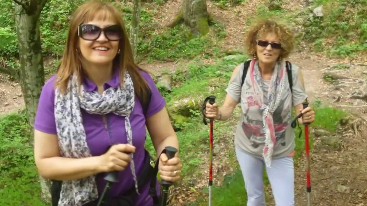 PONTOGNA  Rif  Valtrompia  giugno  2013