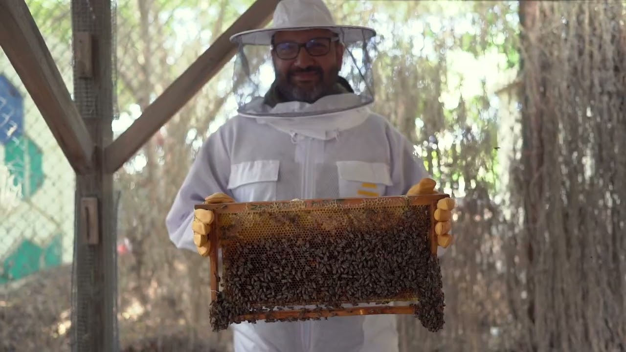 Bee an eco hero for a Day - a CSR team activity by Companies for Good