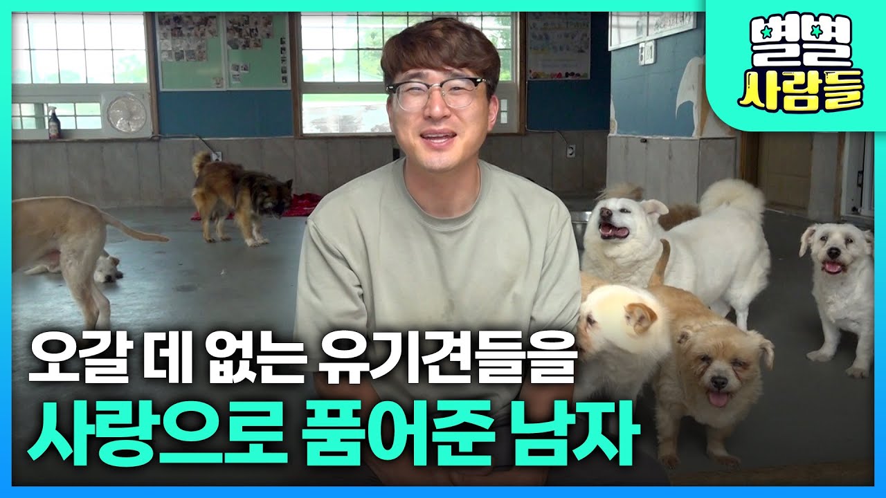 오갈 데 없는 유기견들을 사랑으로 품어준 남자! [ 별별사람들 ] 20240710