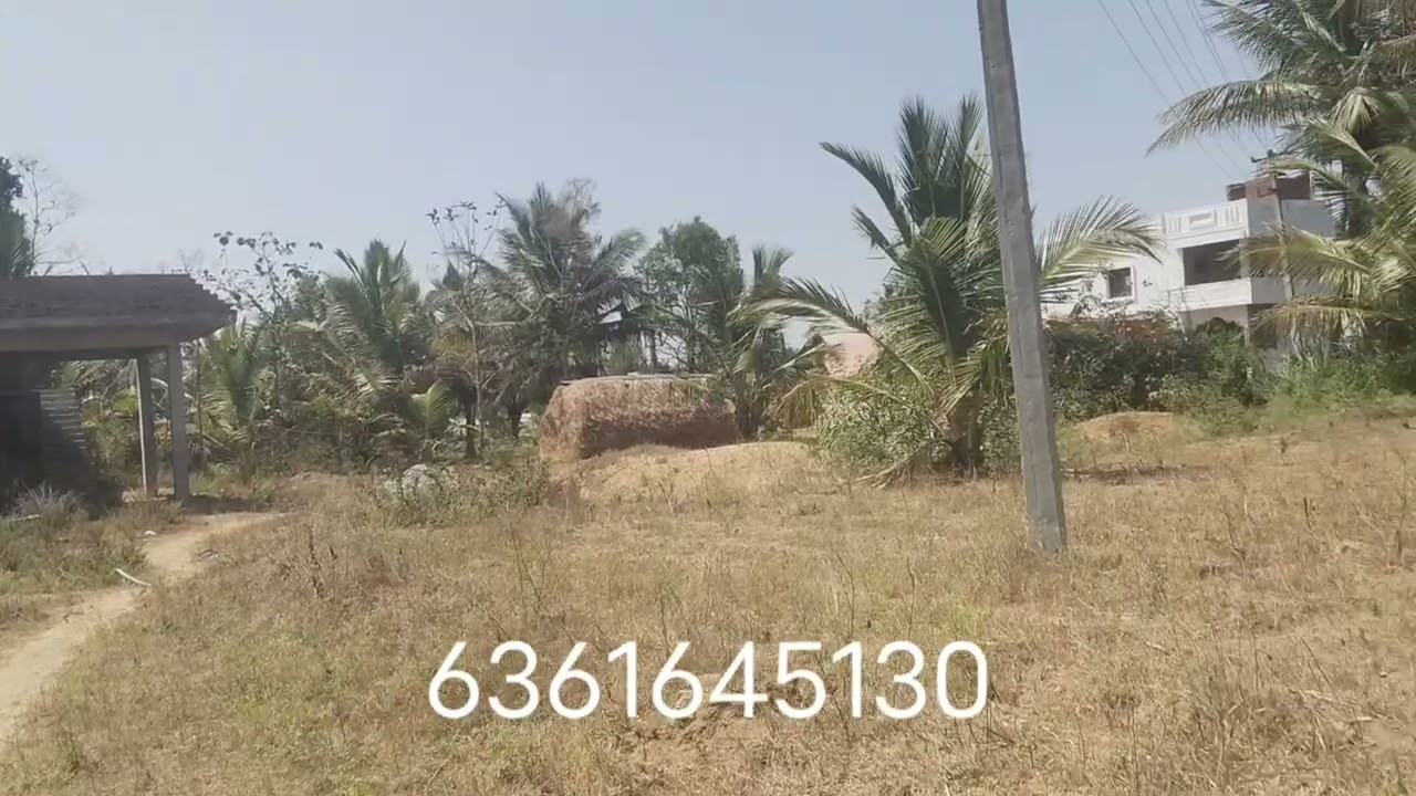 ID..156..9731865069..6361645130