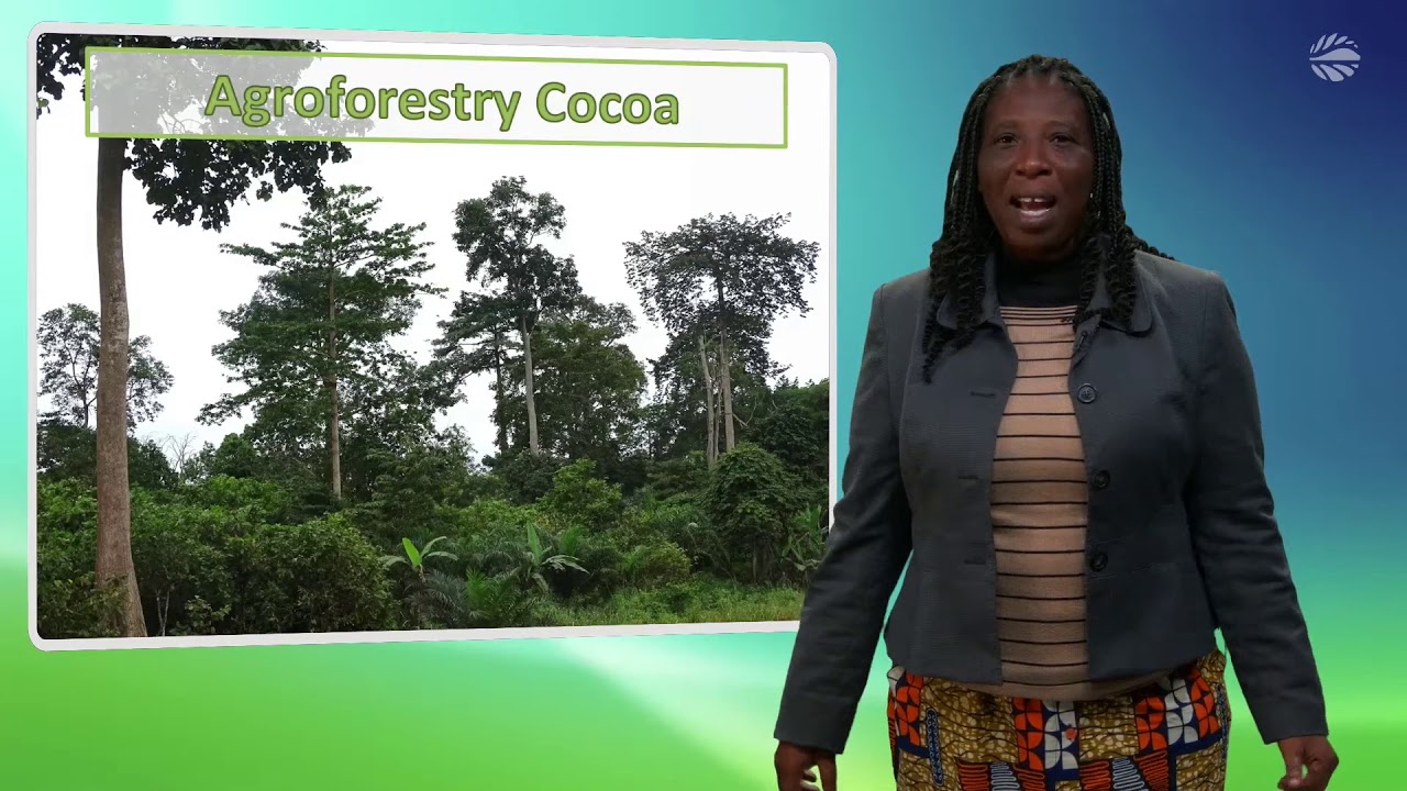 Nature Based Solutions - Ghana