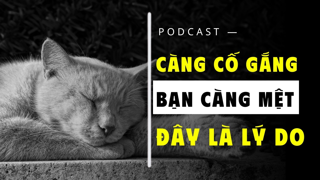 90% Mọi Người Đang Cố Gắng Sai Cách Khiến Mình Trở Nên Mệt Mỏi Hơn