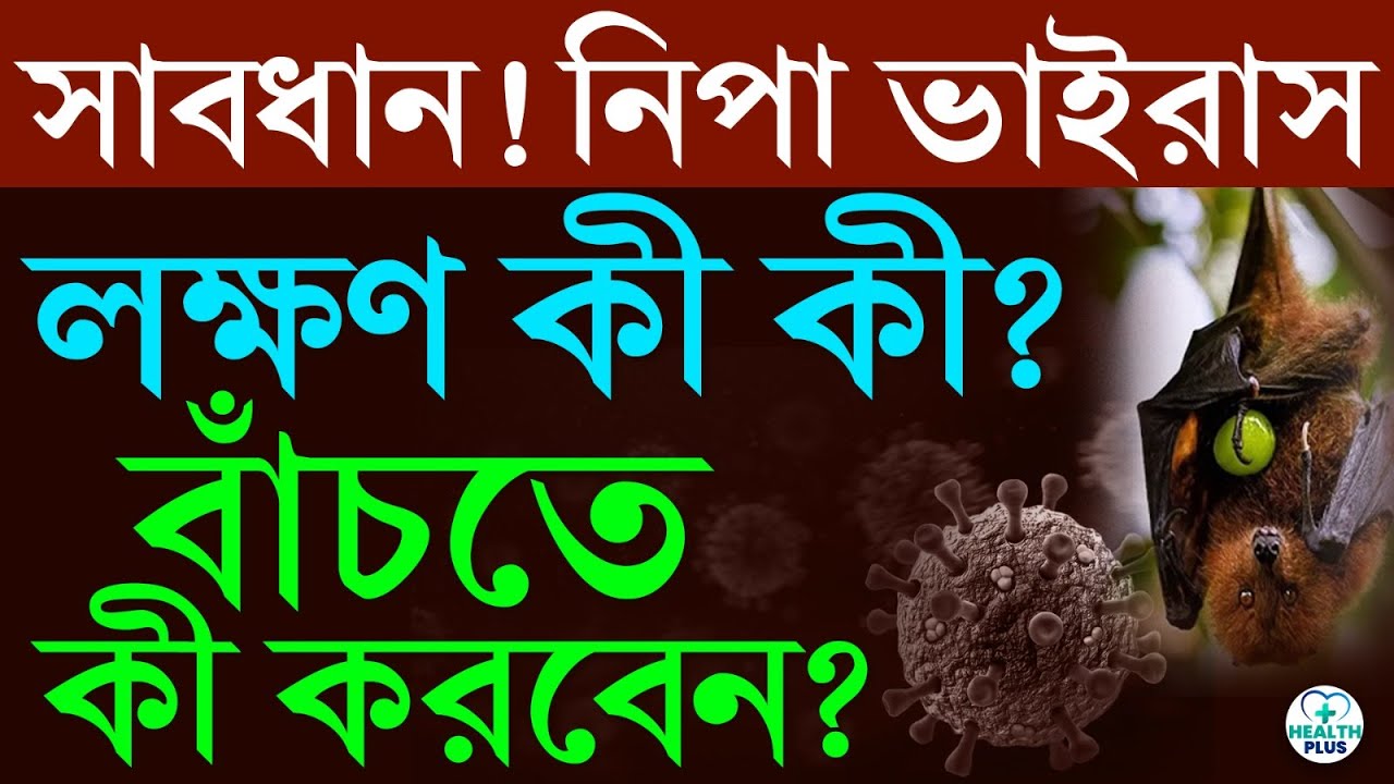 Health : নিপা ভাইরাসের লক্ষণ কী কী ? প্রতিরোধে কী করবেন? Nipah Virus Symptoms Preventions medicine