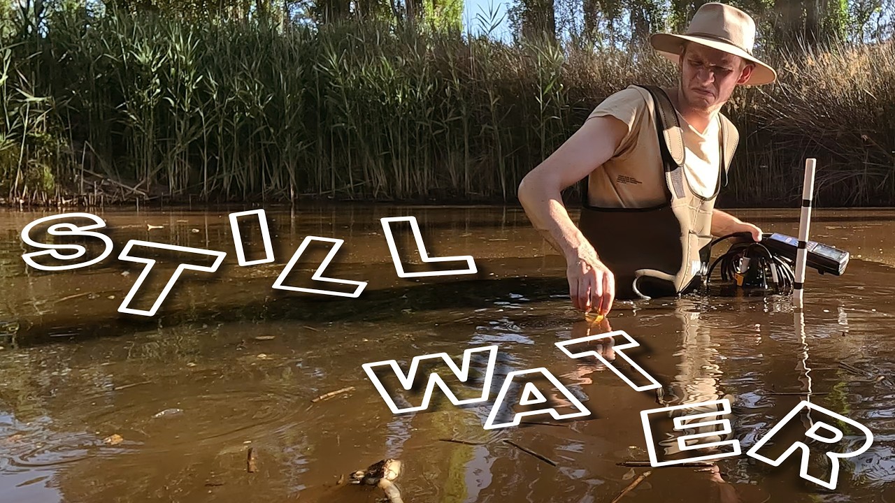 I had FREE WILL when I decided to enter this SWAMP...