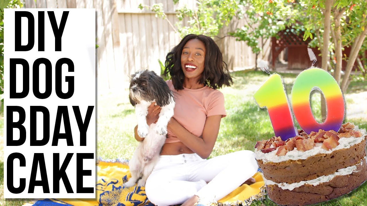 DIY Dog Birthday Cake | Puppy Safe Dessert