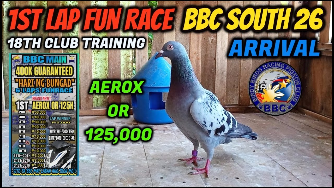 BRAND-NEW AEROX ANG PREMYO, 1ST LAP BBC 6LAP FUNRACE SOUTH 26 ARRIVAL