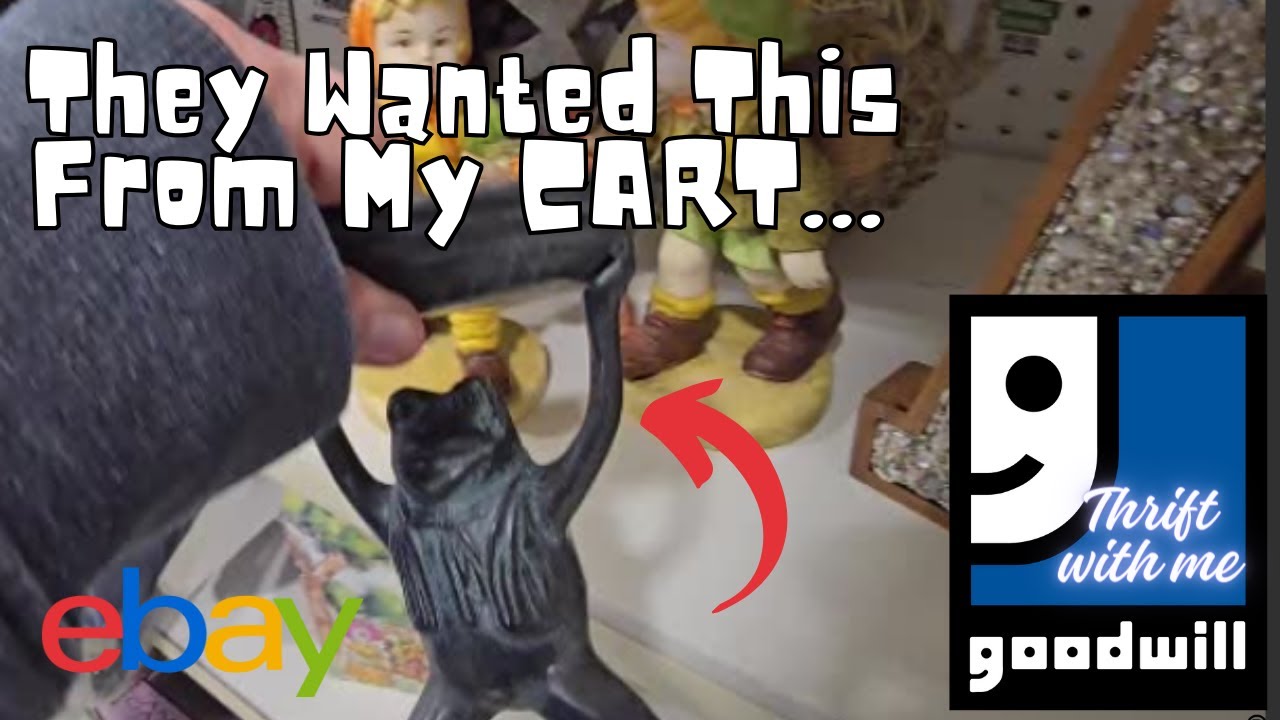 They Wanted This Out of My Cart | Goodwill Thrift with Me - Ebay Reseller