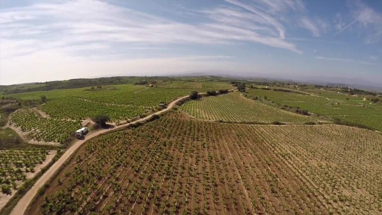 Bodega Luis Ca&ntilde;as, Rioja, Spain. VINEYARDS AND DRONE