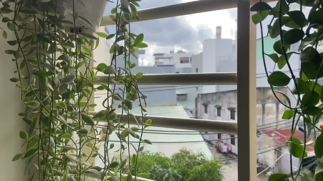 Moving 🎶 Không Hẹn 🎶
