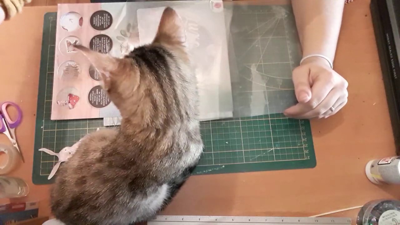 Tuto marque page shaker